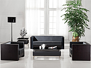 ���y��Ƥɳ�l CG-CTZPSF-06