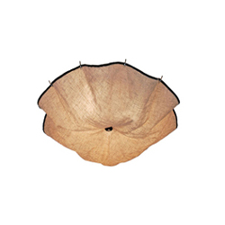 FLOS Celestia Ceiling Lamp ����㲼ˇ��픟�CG-X697_�k���Ҿ�_��픟�_�F��������