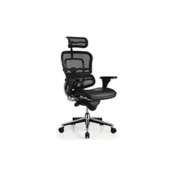 Erghuman plus office chair CG-���-1002-1