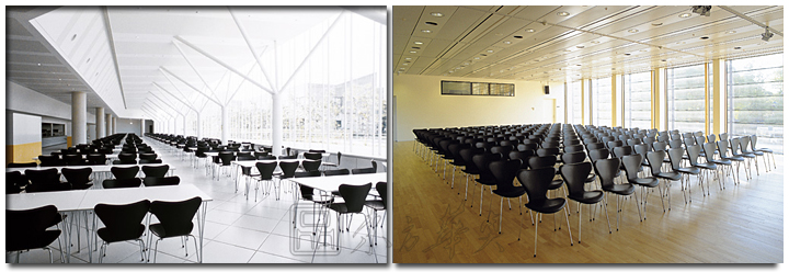 �F���������e��|ľ�����e��|�k���Ҿ�|������|���e����ǢՄ�Σ���ľ���e�����������e��