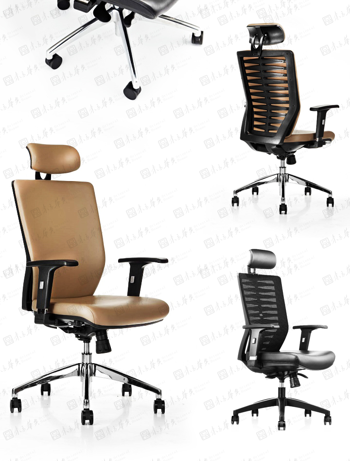 �k����|�W���T��|�k���Ҿ�|Zebra����|�F�����w���W�OӋ���m͸����Ƥ �W������� �T�� �а��� ���h��